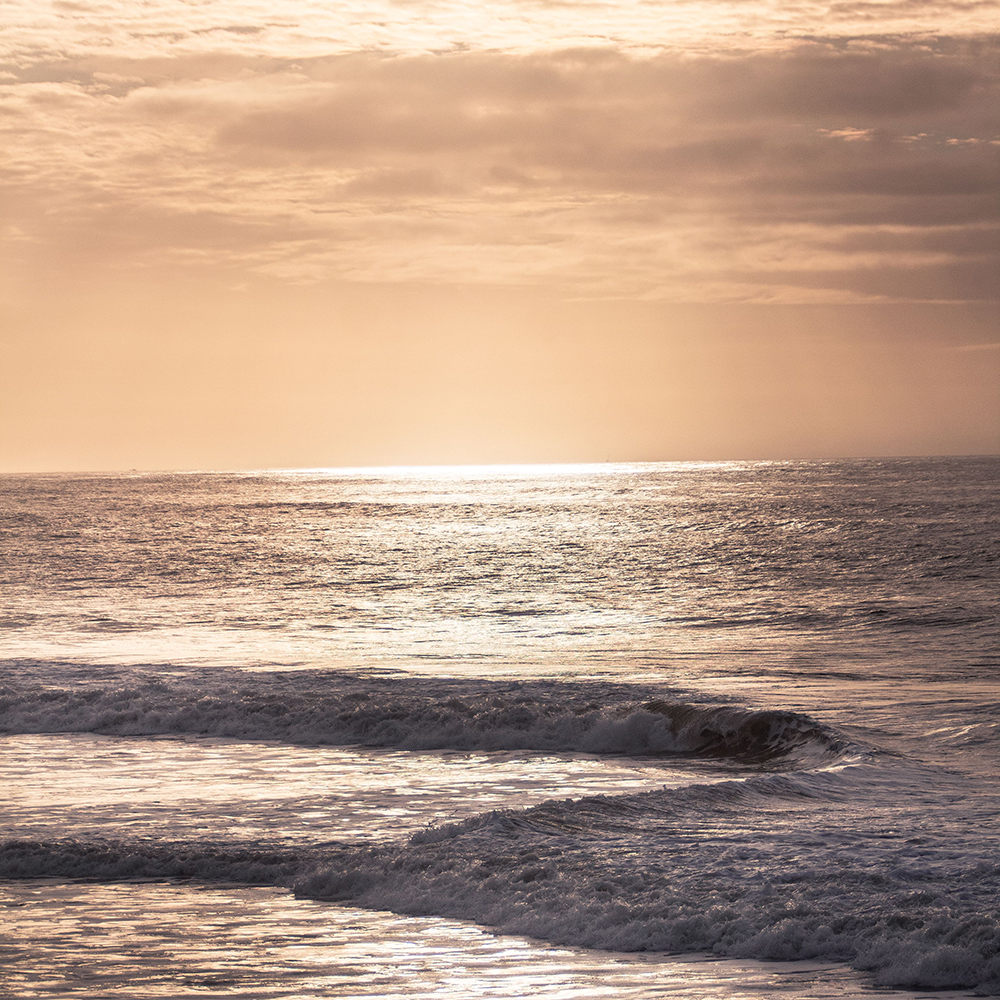 CJ MER – Copie-min